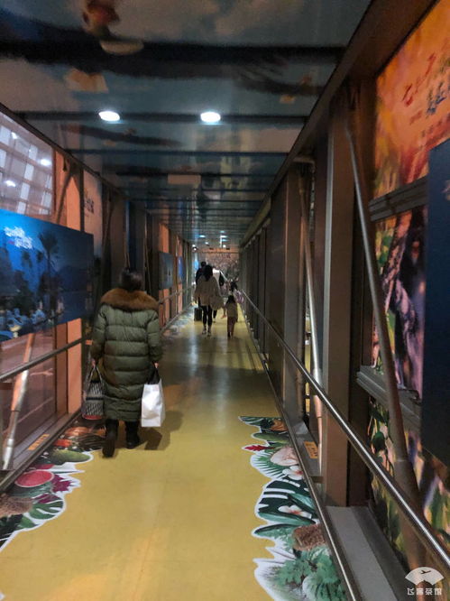 無愧五星航司稱號 非黃金航線的精品服務與專業倉儲