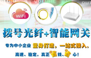 撥號(hào)桿上的數(shù)字魅影 信息技術(shù)服務(wù)如何賦能傳統(tǒng)商業(yè)